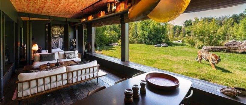 Image d'illustration de l'entreprise ZOO DE LA FLECHE